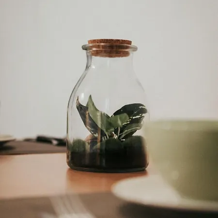 Du Parc Calme Châtel-Guyon